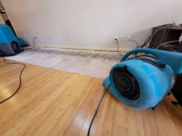 Professional Water Damage Repair technician working in North Washington, PA